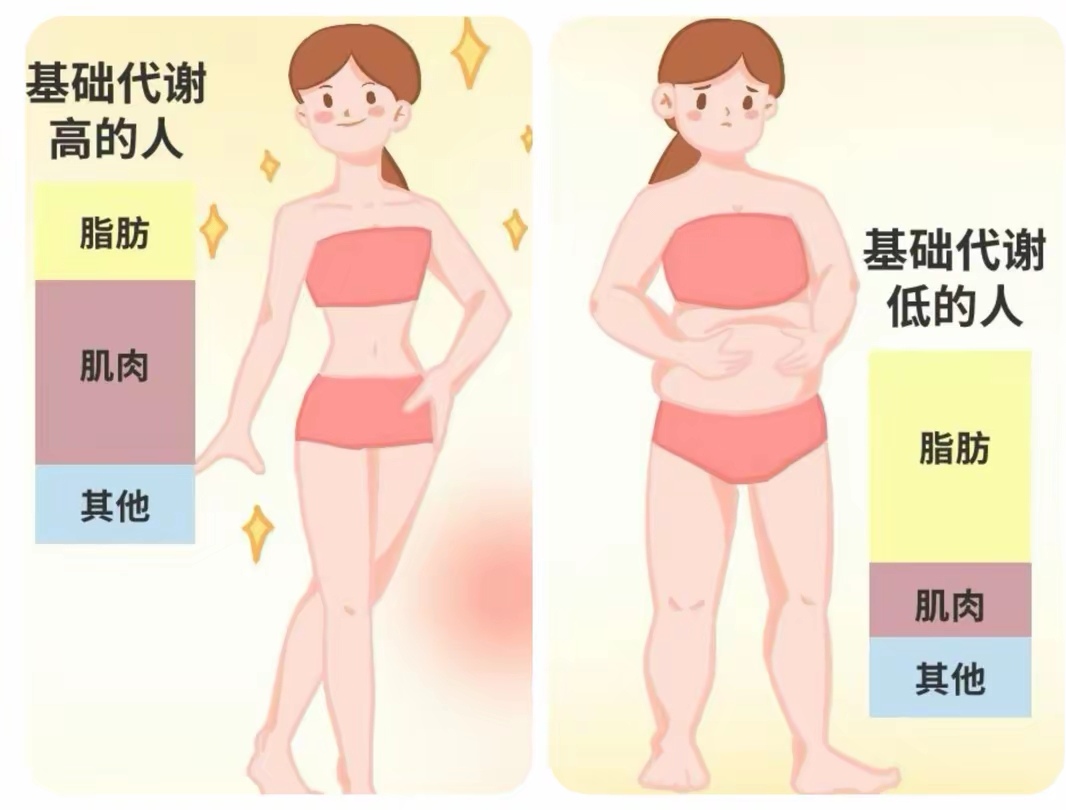 多人运动过的女人身体变化多人运动对女性身体的影响与变化-第2张图片