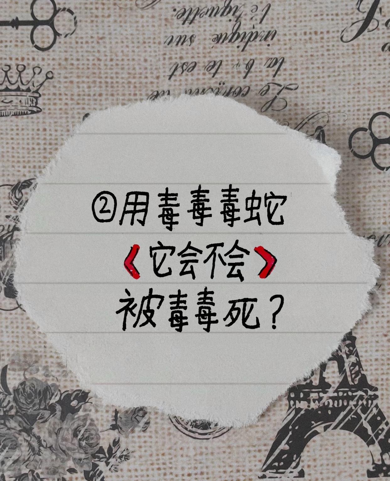 语文课代表，挑战与成长
