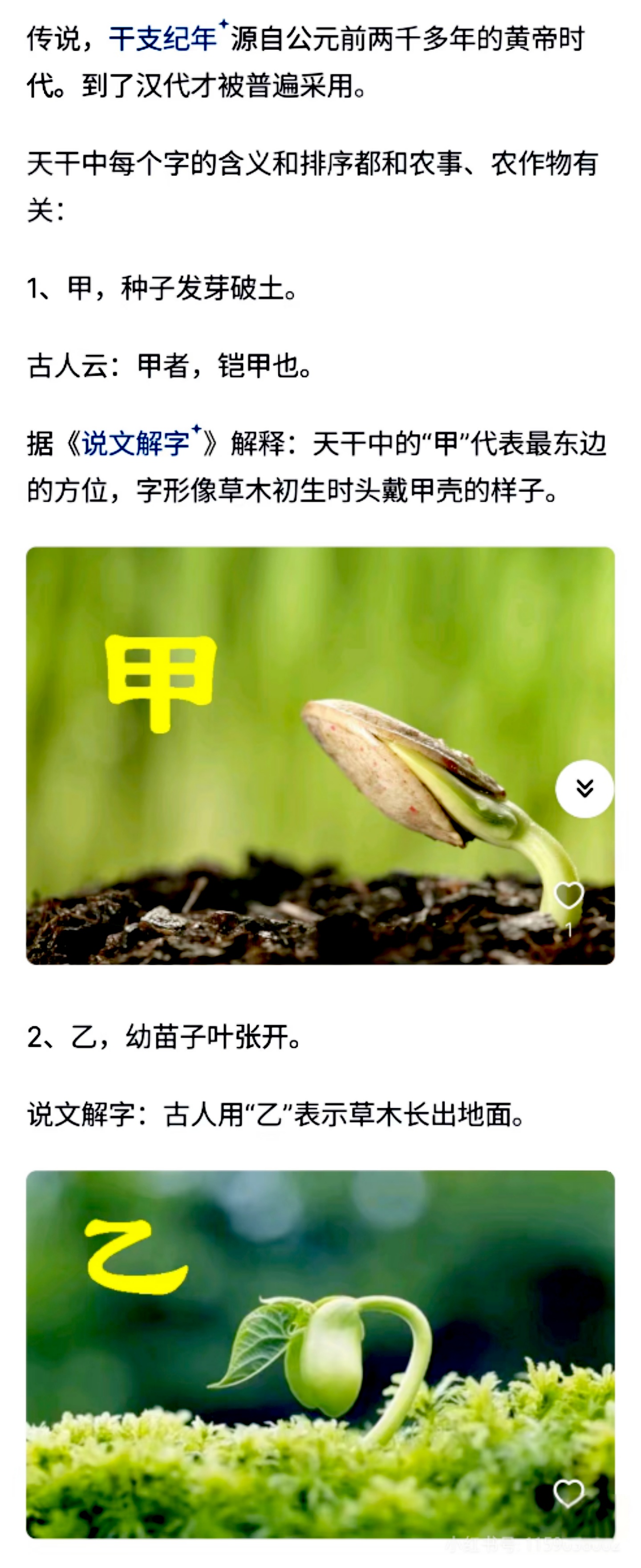 探索三十六种阴阳技图片的奥秘-第2张图片