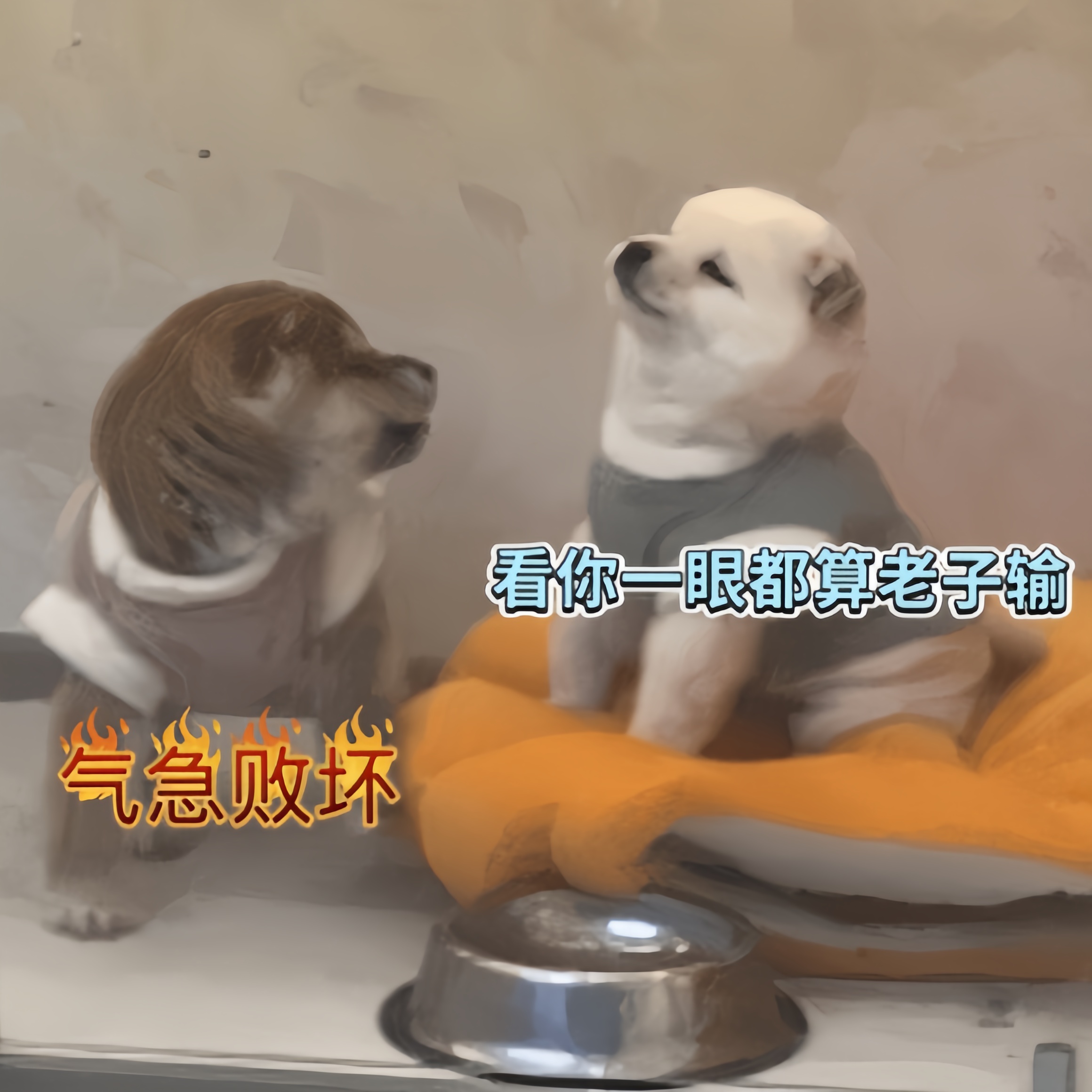 一人一狗卡了六个小时视频一人一狗卡六小时，一段难忘的视频经历-第2张图片