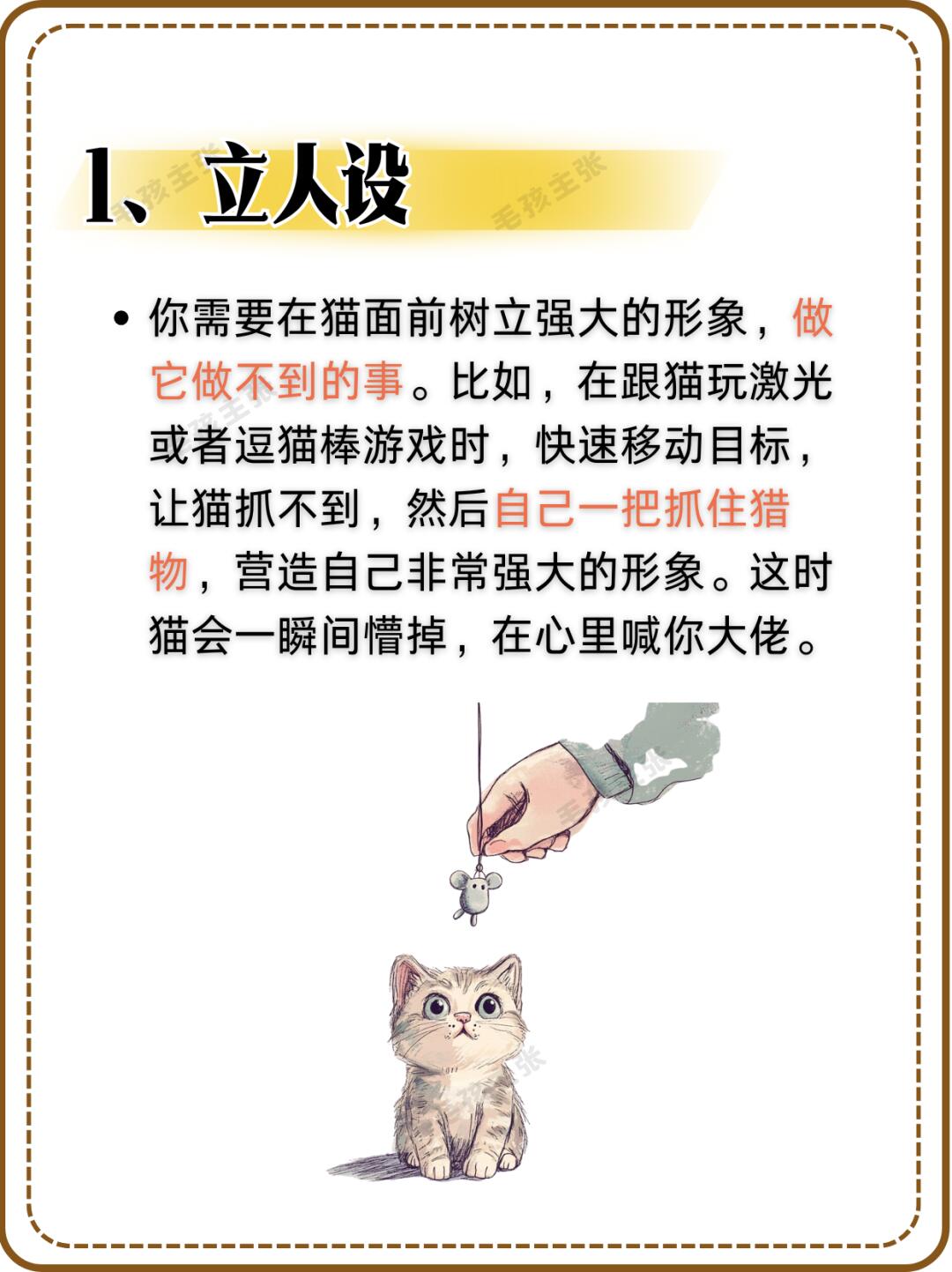 猫咪有约论坛没有了猫咪有约论坛——爱猫人士的交流圣地