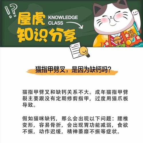 喵咪app破解版喵咪最新破解版apk，深度解析与使用指南