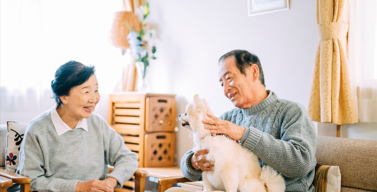 狗茎进入人体图，科学解读与健康警示