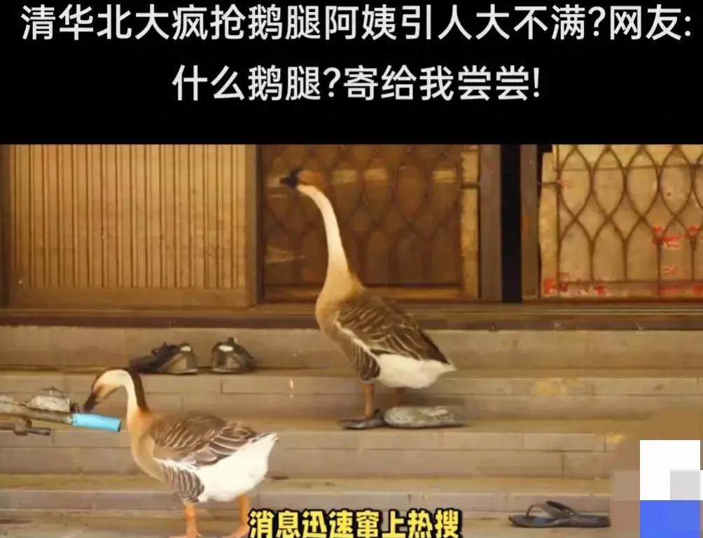 我在校园里成为了坐便器的传奇-第1张图片