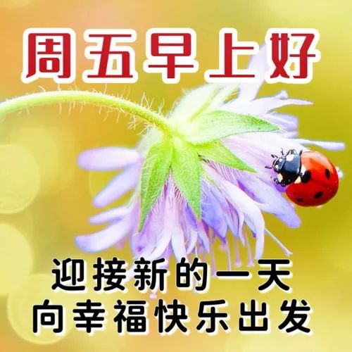 免费正能量软件，点亮你网站生活的明灯
