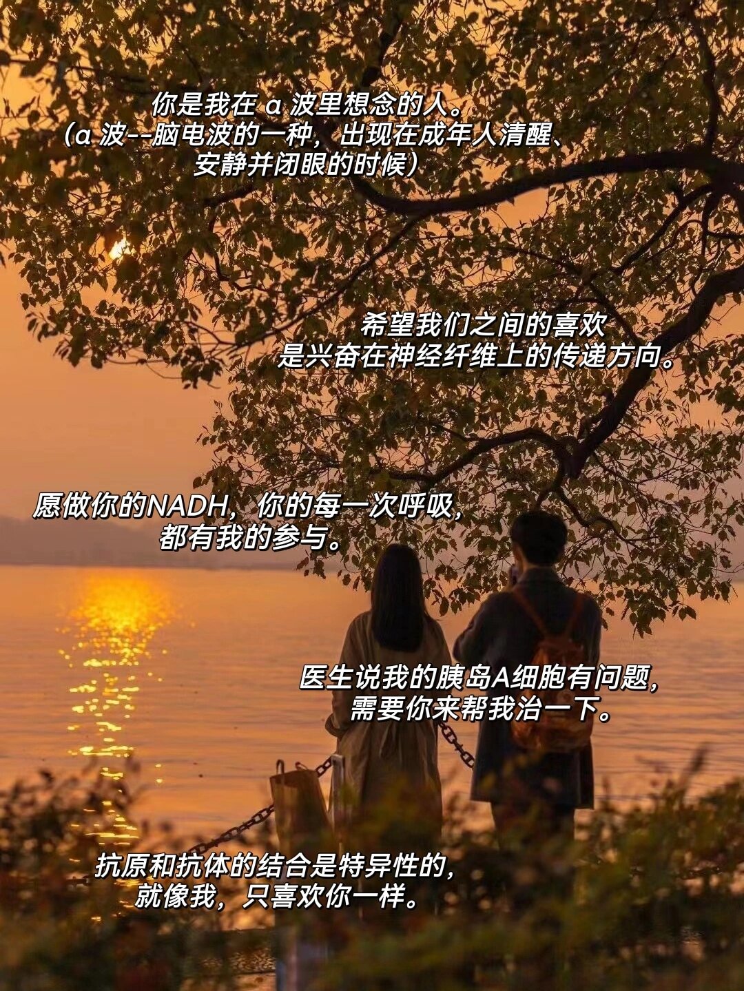 片多多视频免费观看电视剧软件探索那个对那个的奥秘，免费APP软件指南-第3张图片
