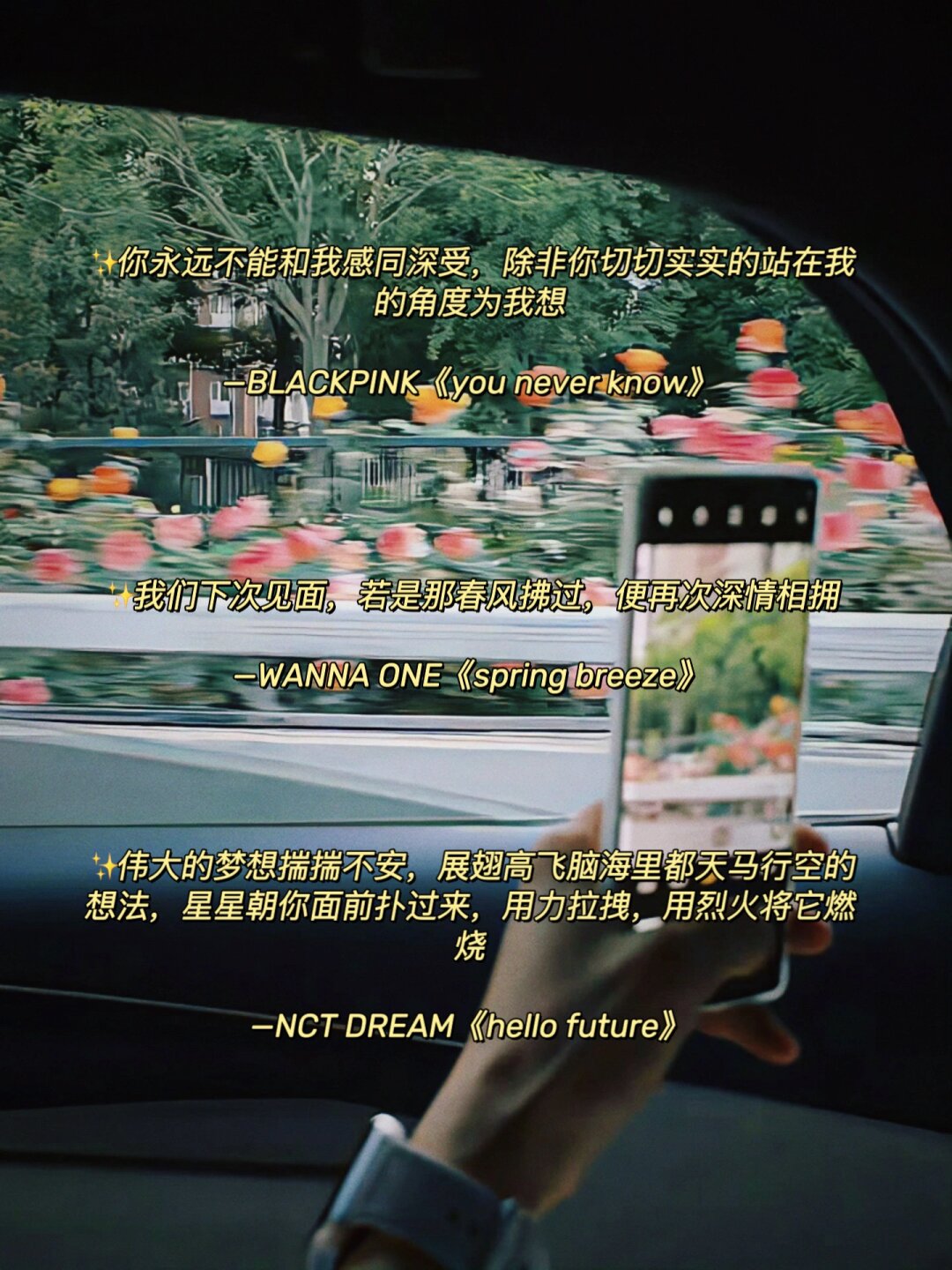 一码的魅力与影响-第2张图片
