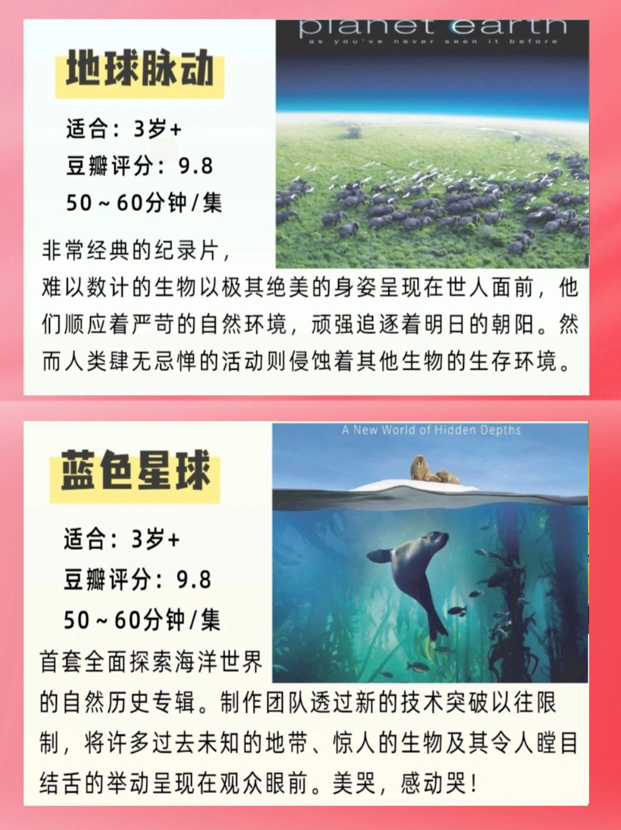 一个人看片视频第一季在线观看探索个人观看视频的奇妙世界-第2张图片