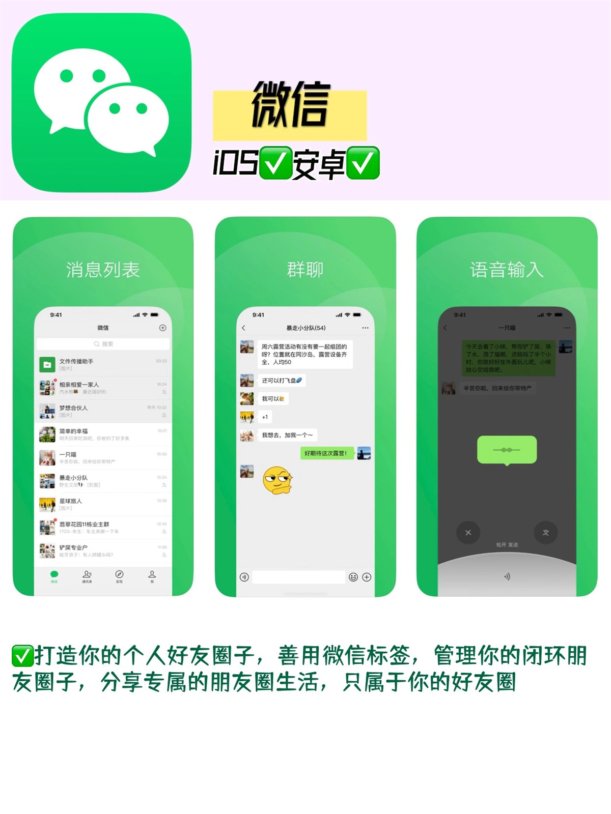 探索大菠萝的魅力——福建APP的独特之处-第2张图片