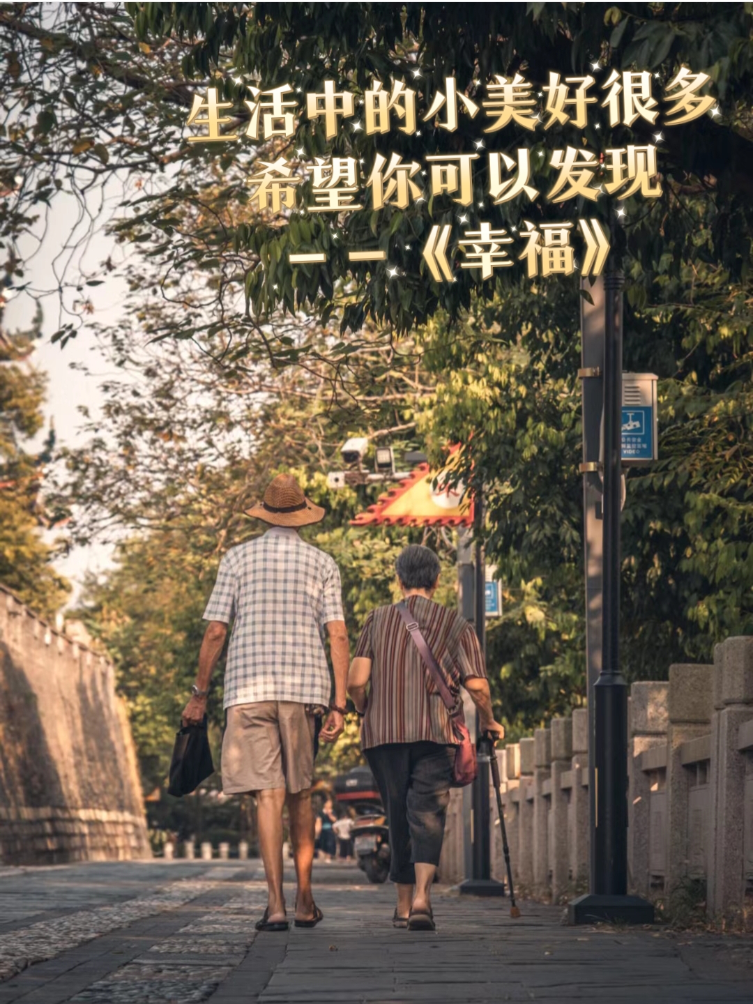 儿子耕种母亲的田地的寓意电影儿子的耕耘，母亲的田