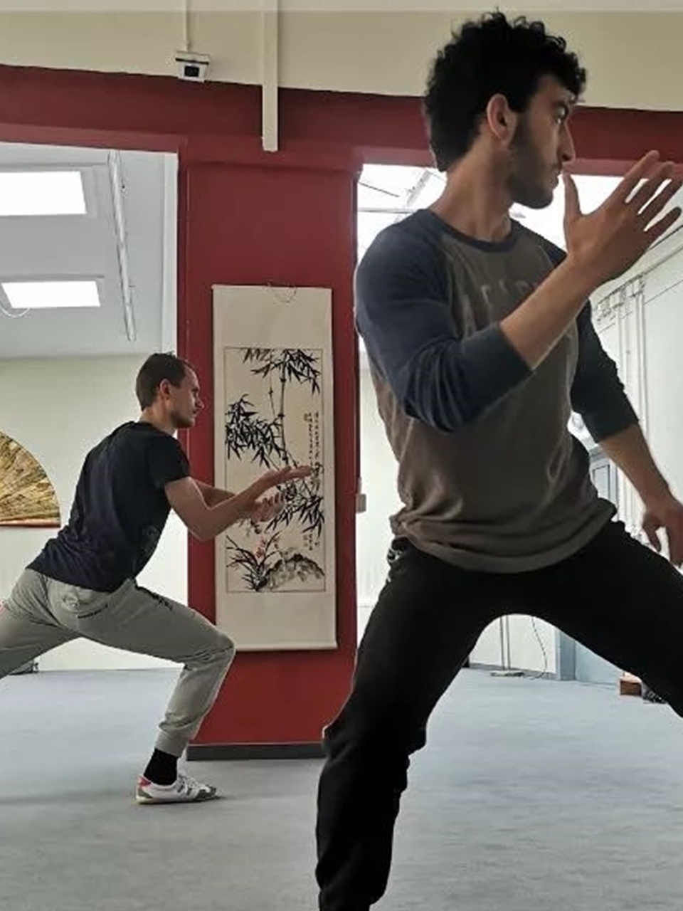 中国黄色带三级在线中国武术的瑰宝——黄色带三级-第2张图片