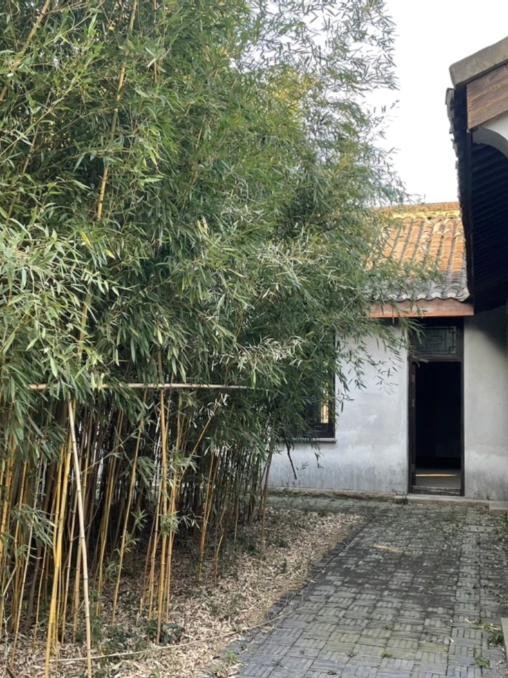老人在树林里的秘密行为-第1张图片