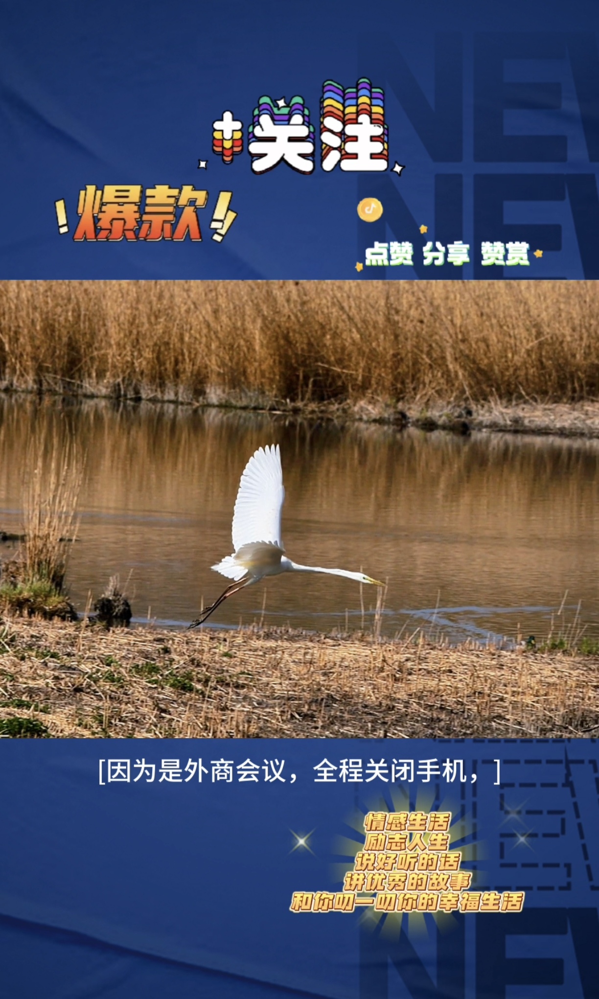 妻子上司请我们吃饭,听到他对妻子的称呼妻子上司请我们共进晚餐