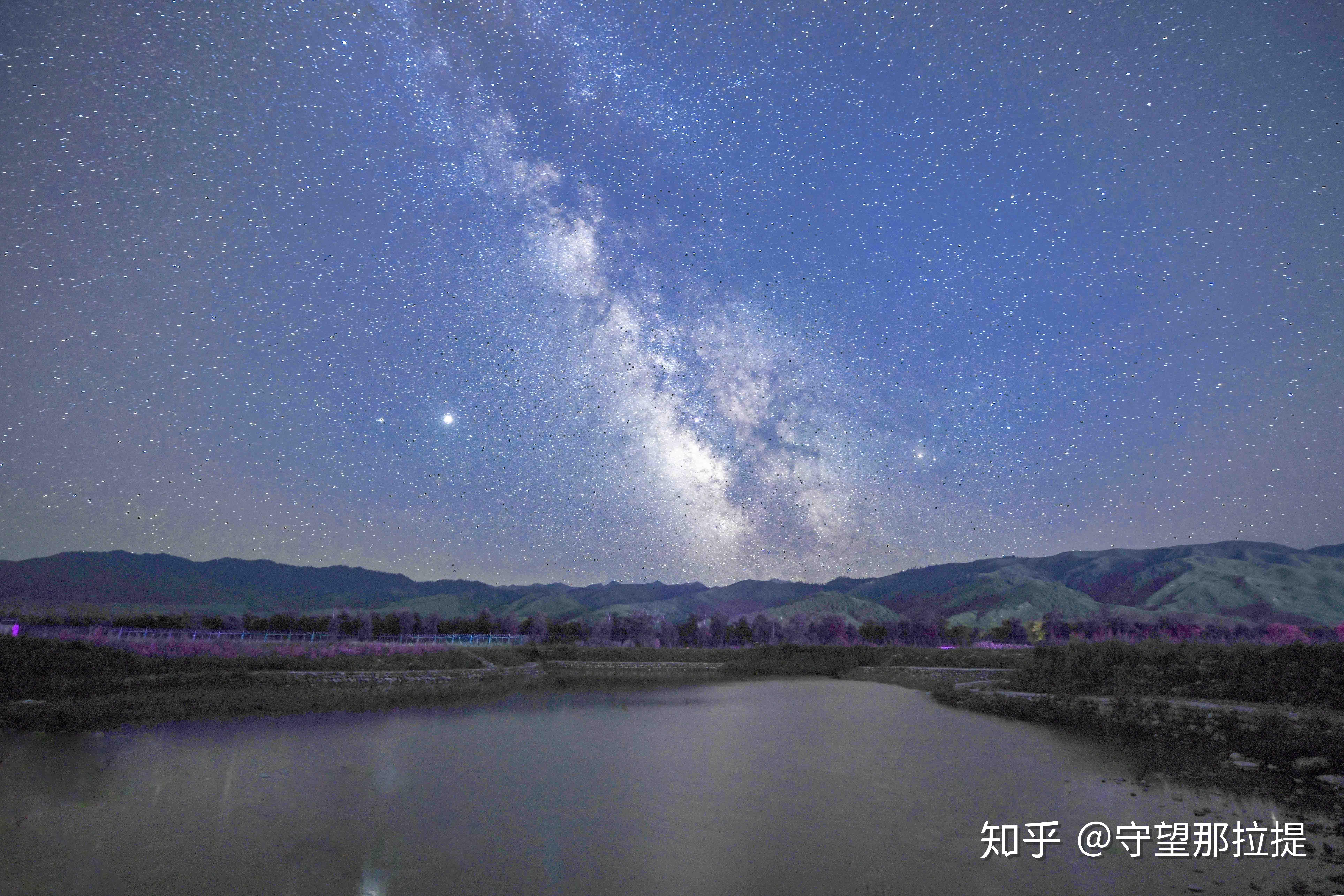 野花社区在线视频，探索网络世界的视觉盛宴