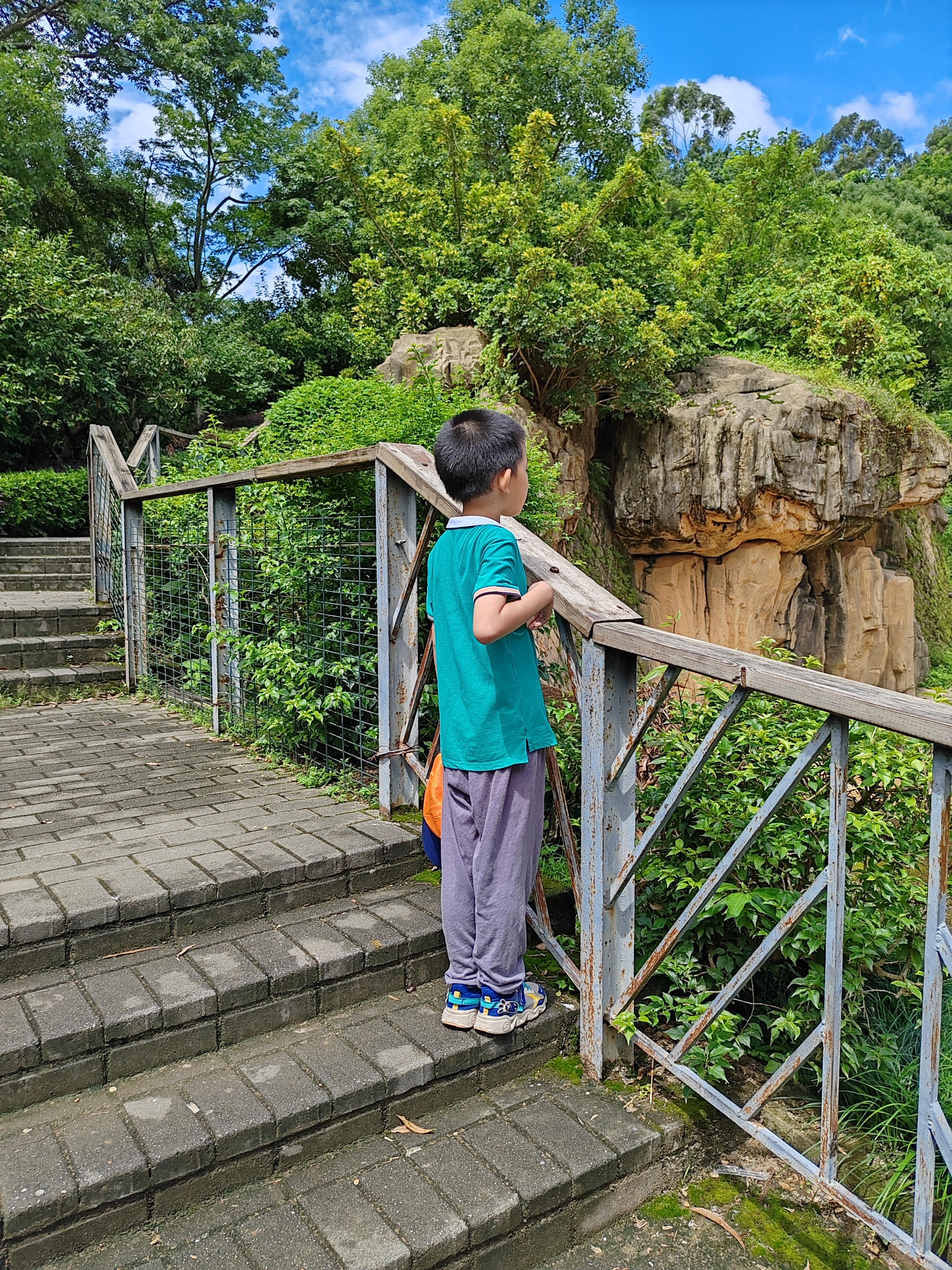 小宝寻花 全部小宝寻花之旅，一次奇妙的探索全部-第1张图片