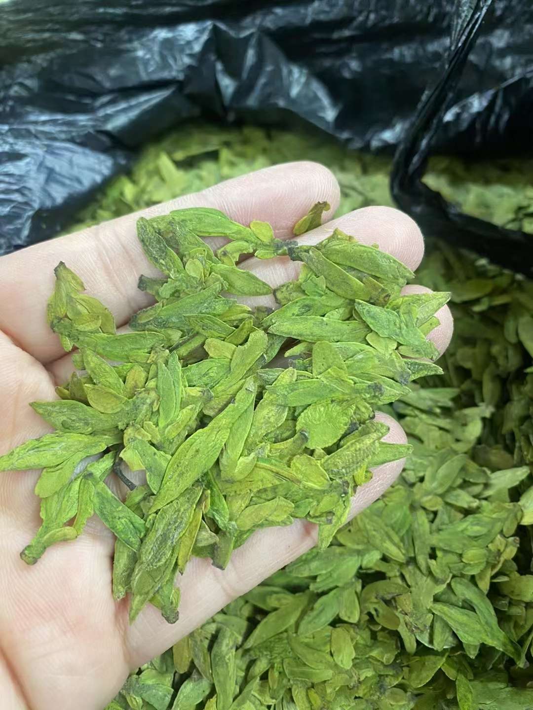 探索中国精产国品一二三产区M553的魅力