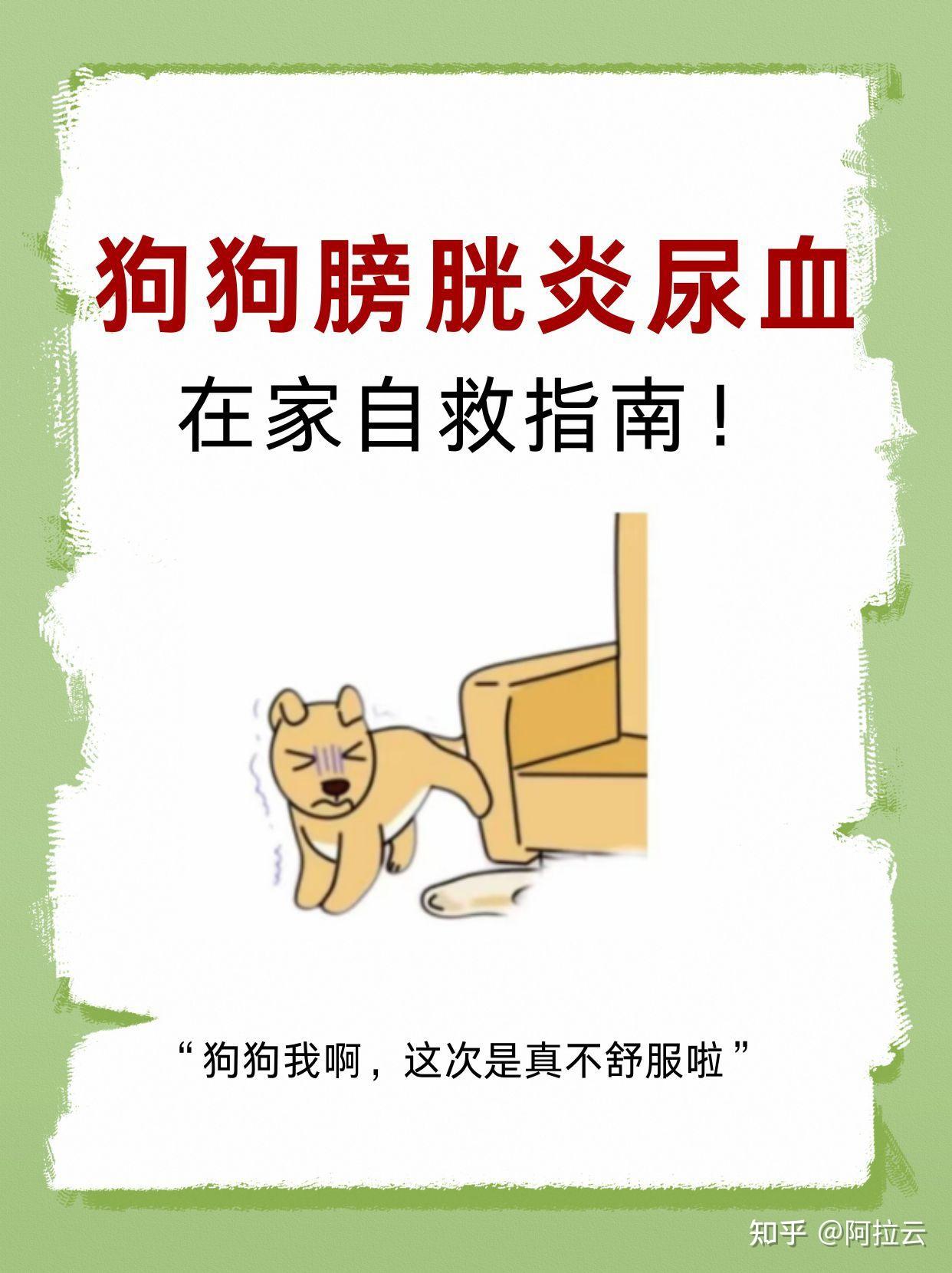 尿急不让尿一直揉膀胱知乎作久尿急时如何应对？能否通过揉膀胱来缓解？