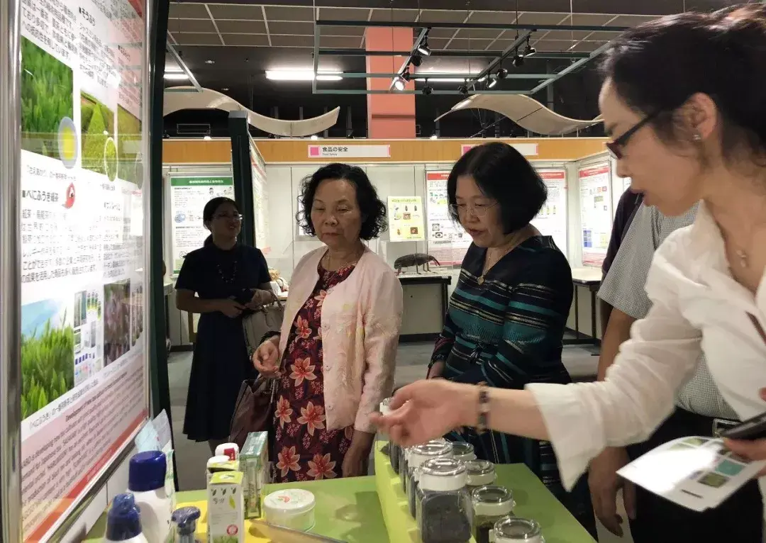 日韩欧美视频一区，全球文化交流的新窗口-第2张图片