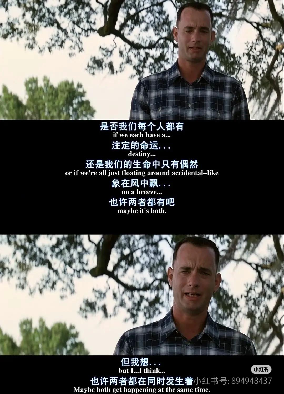 阿甘骑士稻草人阿甘骑士，坚韧不拔的传奇人生