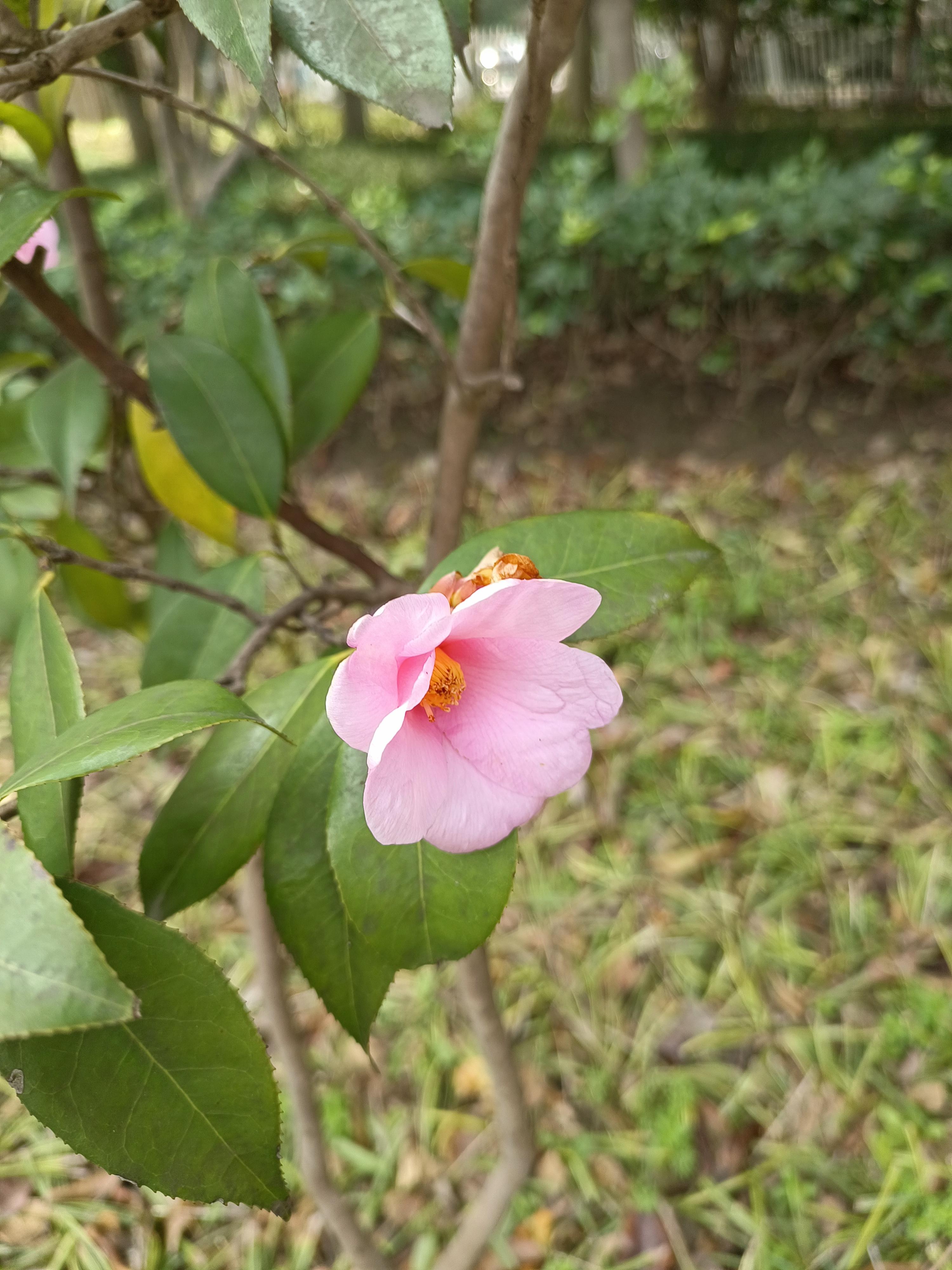 行吧有你春暖花开有你，春暖花开-第2张图片