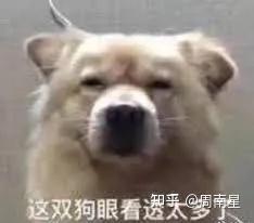 97国产精华产品大揭秘，哪些产品堪称最佳？