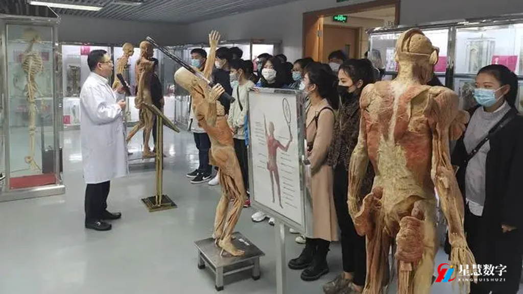 真人去掉衣服软件，技术进步下的伦理探讨-第1张图片