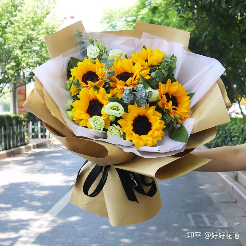 向日葵下载汅api免费无限看探索无限可能——免费无限看向日葵下载汅API的魅力之旅-第1张图片