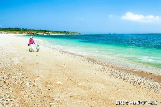 探索BT天堂岛最新版中文资源