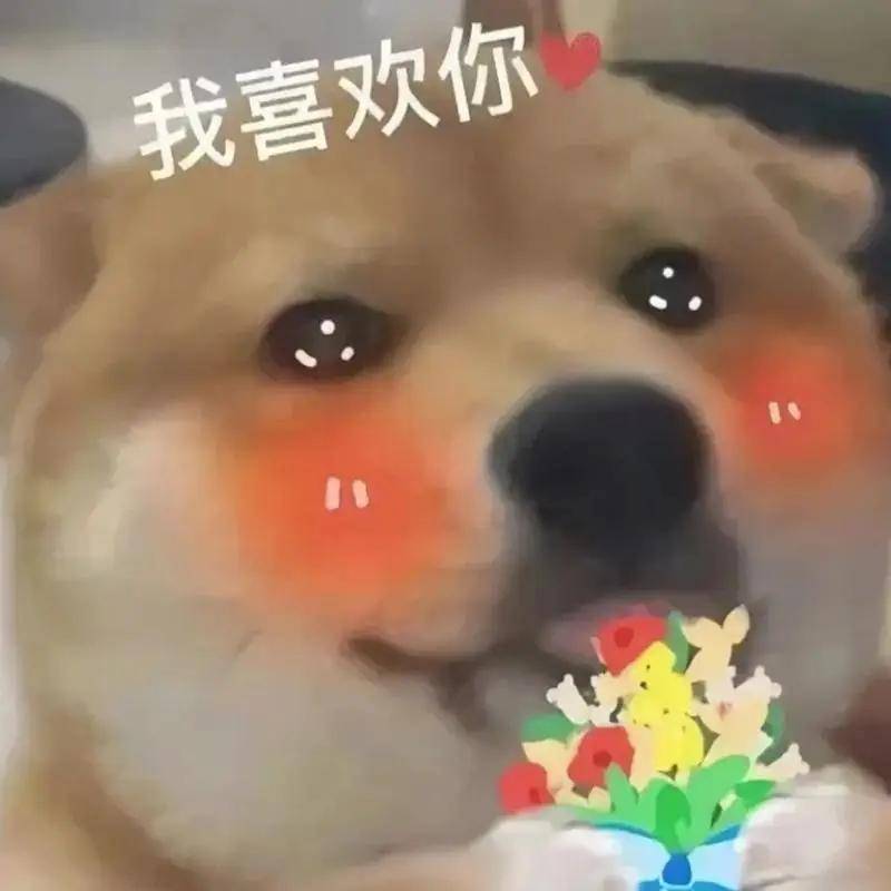 宝贝儿你知道我多久没碰你了宝贝儿，你可知我多久未触你之柔-第2张图片