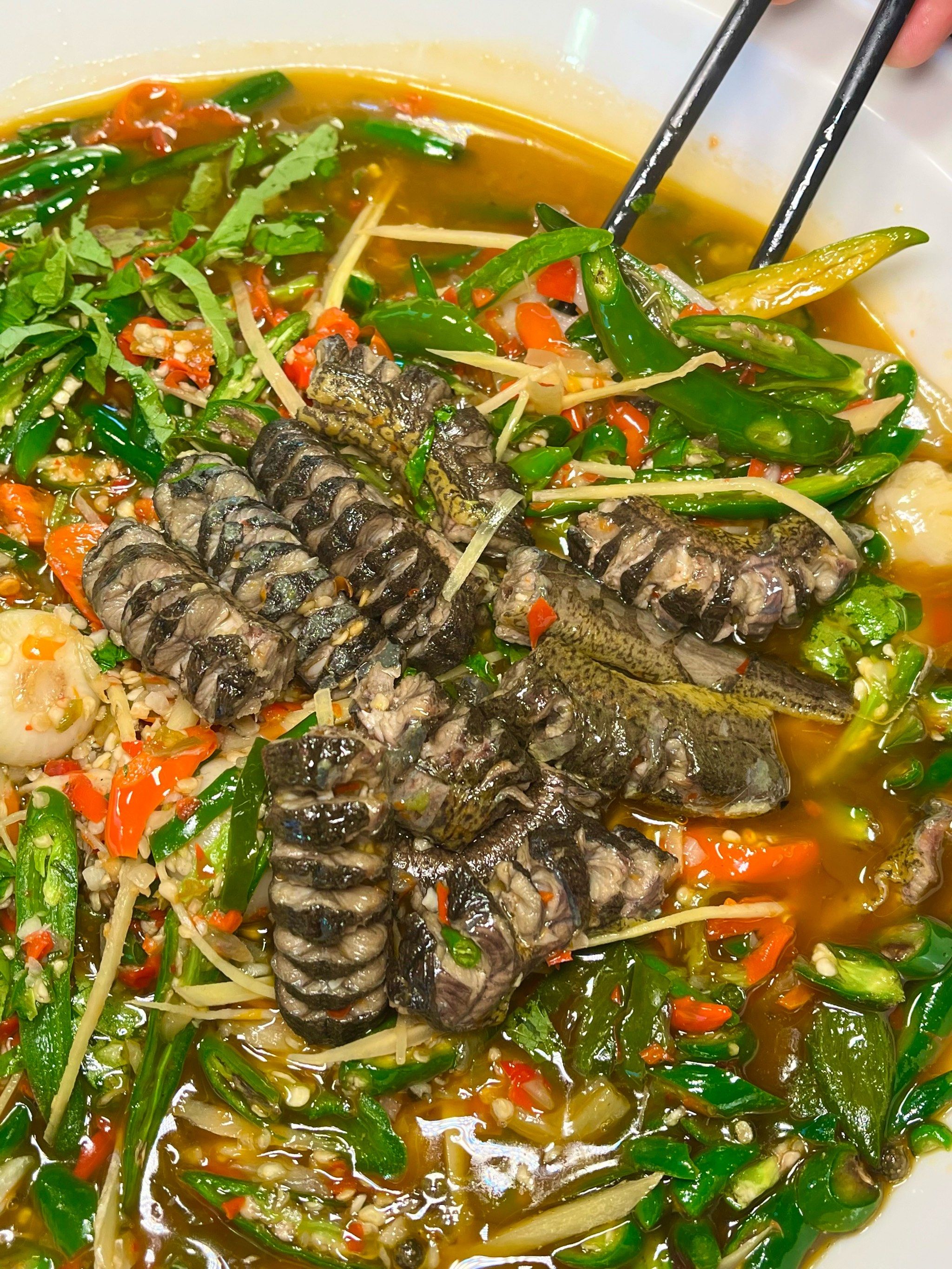 我的兔子又大又软好好吃我的兔子，又大又软，美味又难忘-第3张图片