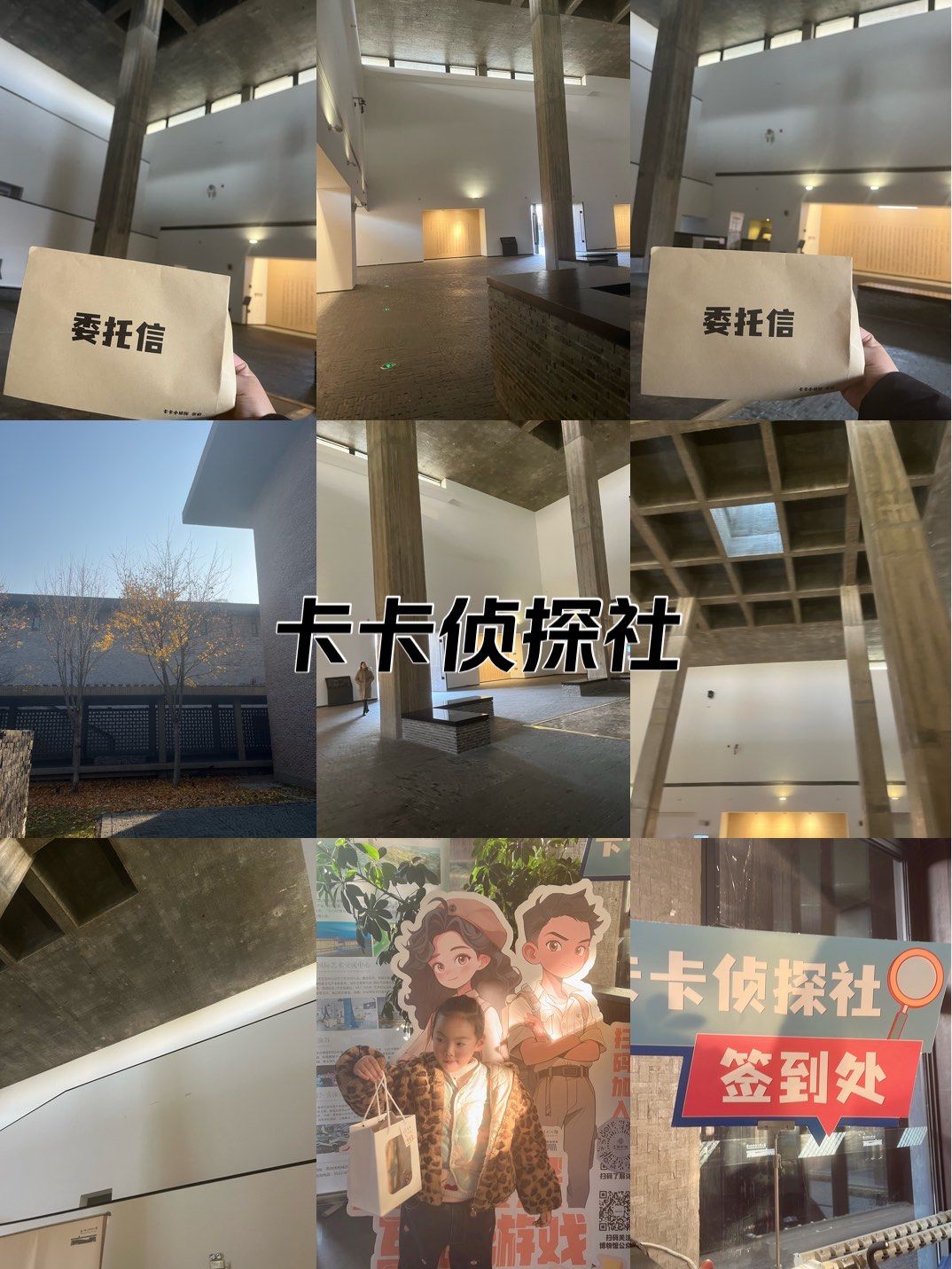 旅行者的奇妙邂逅，雷神视频的神秘之旅-第1张图片