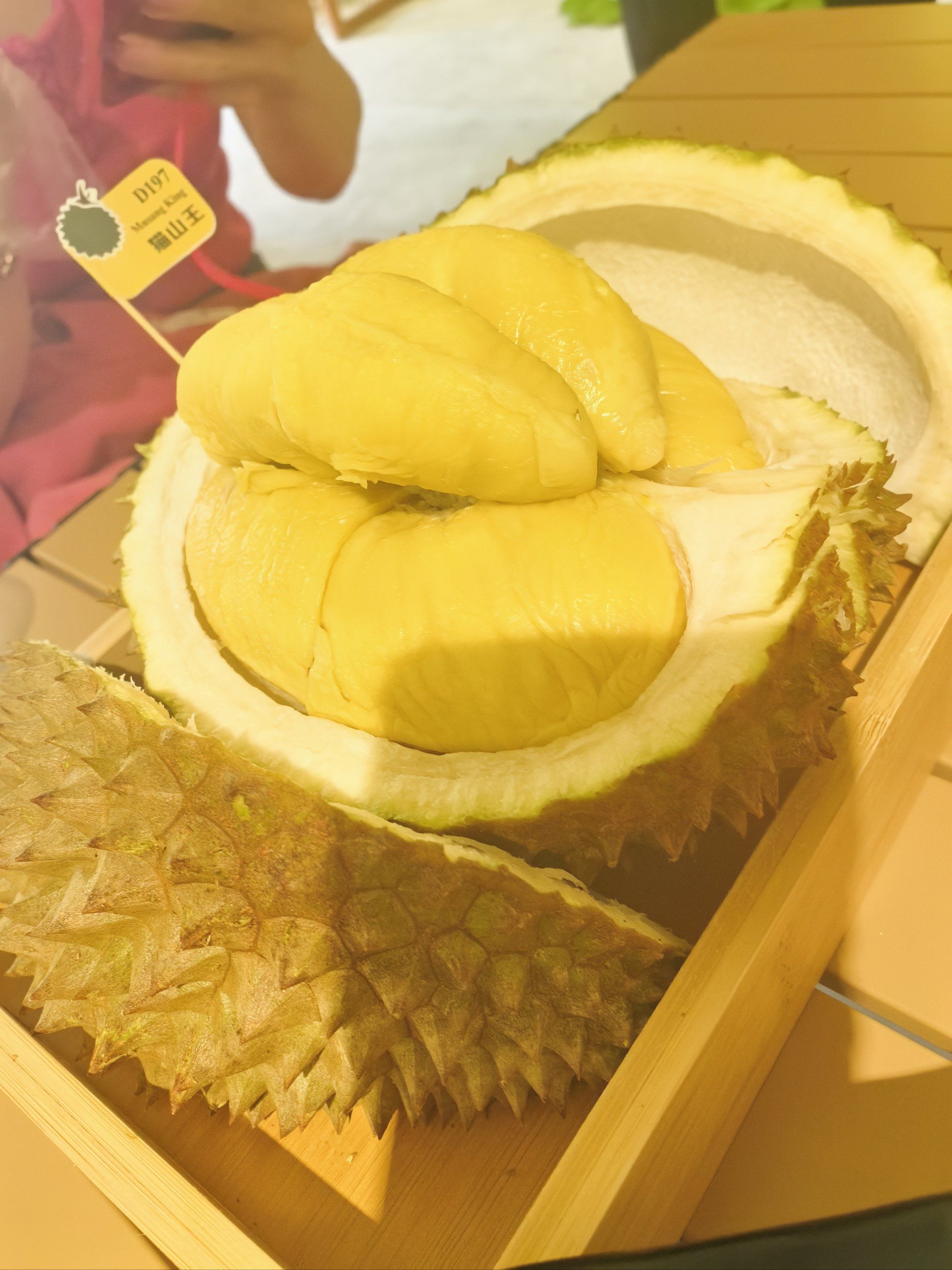 榴莲视频资源在线观看的便捷体验