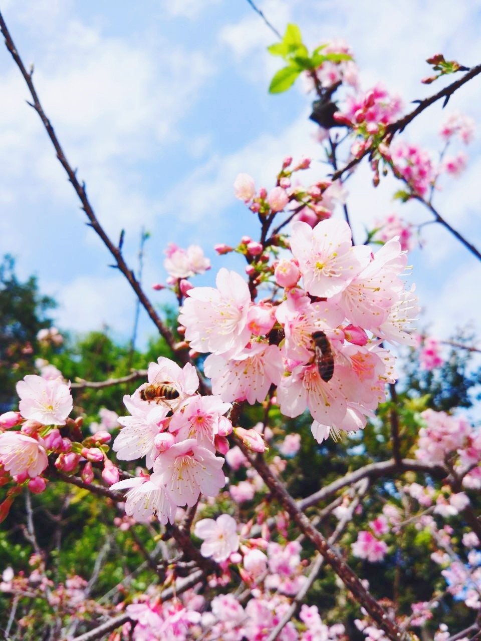 行吧有你春暖花开app有你，春暖花开-第2张图片