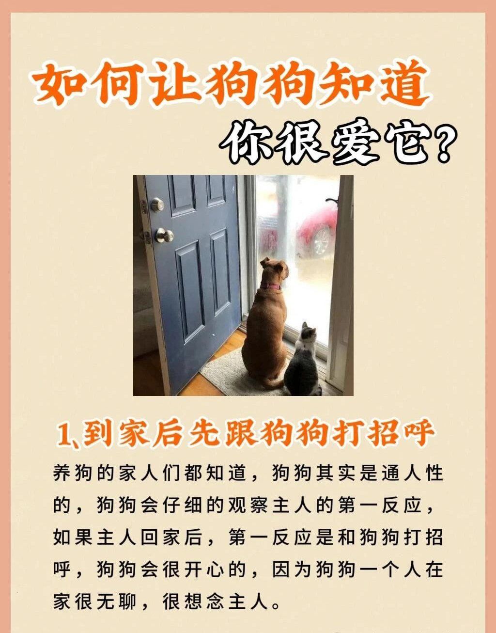 怎么让狗会打架如何顺利地引导狗狗参与互动，而非进行狗狗大战