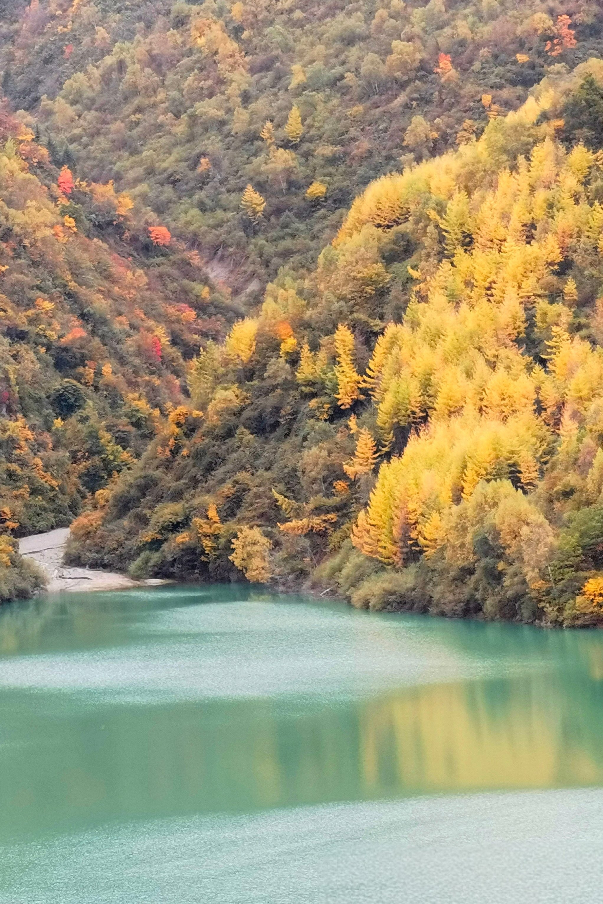挪威的森林截了一小段做运动挪威森林的微缩之旅，一段独特的运动体验