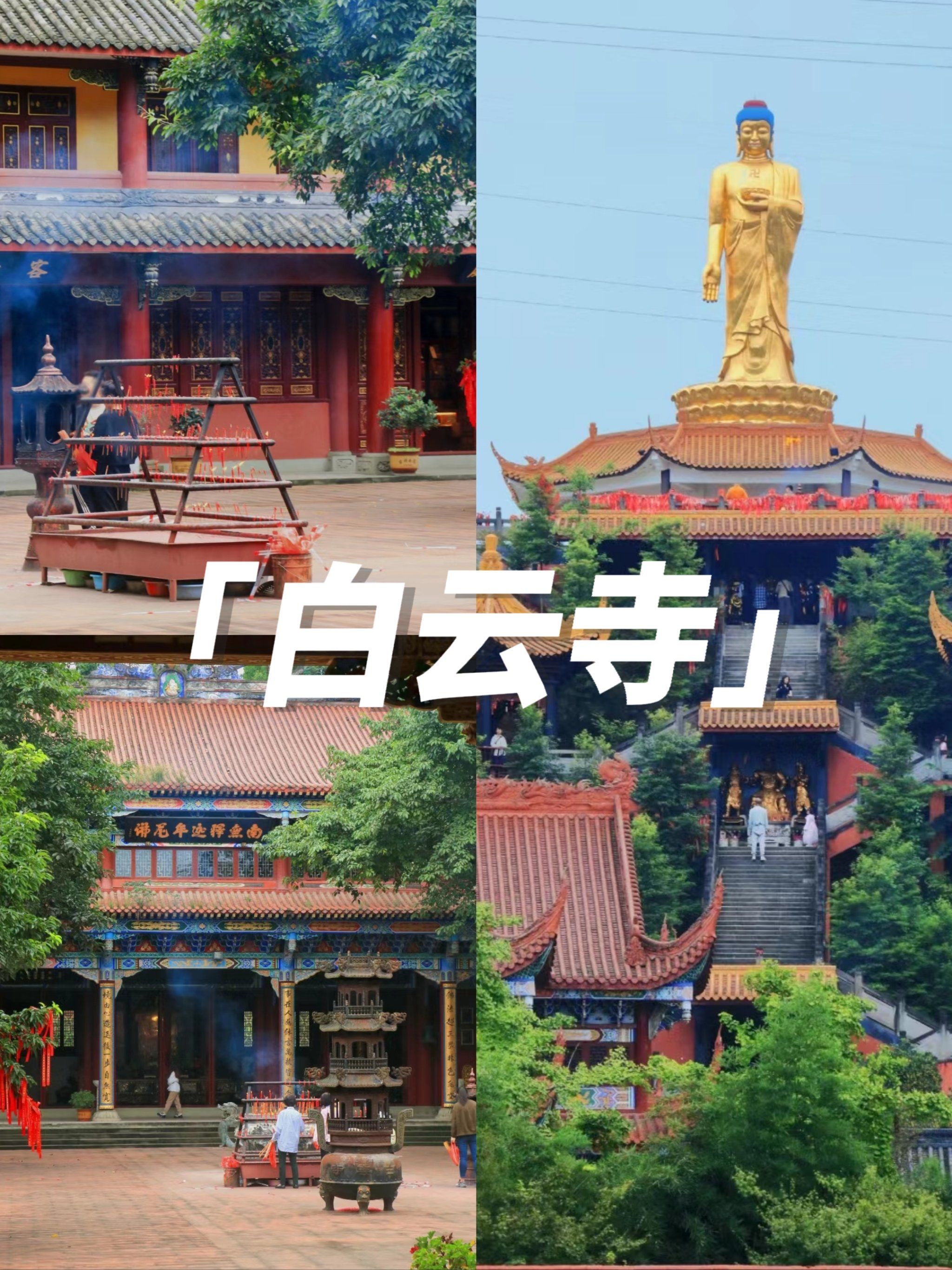 成都影视，免费观看高清视频的绝佳选择