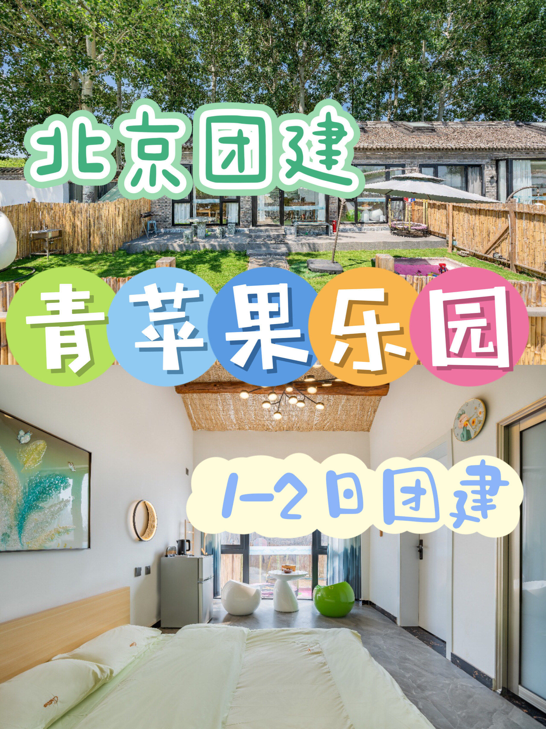 青苹果乐园影视免费观看下载青苹果乐园影视，免费观影新选择-第2张图片