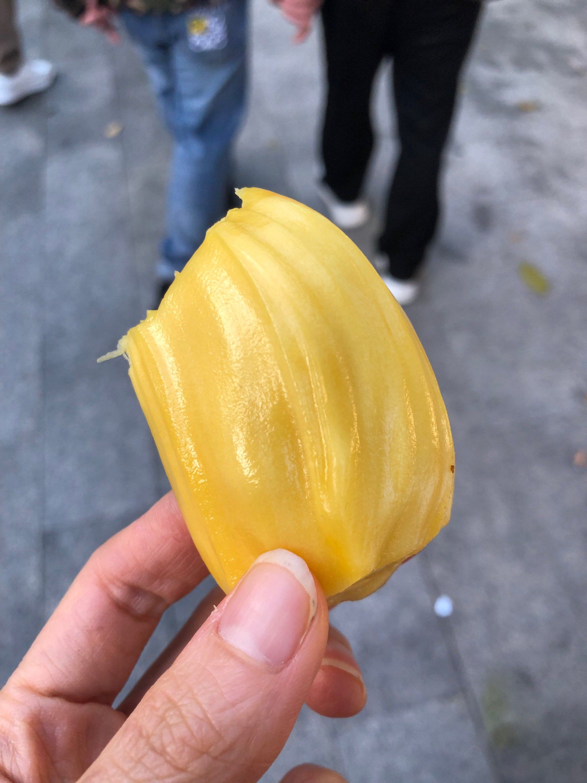菠萝蜜视频在线观看指南-第2张图片