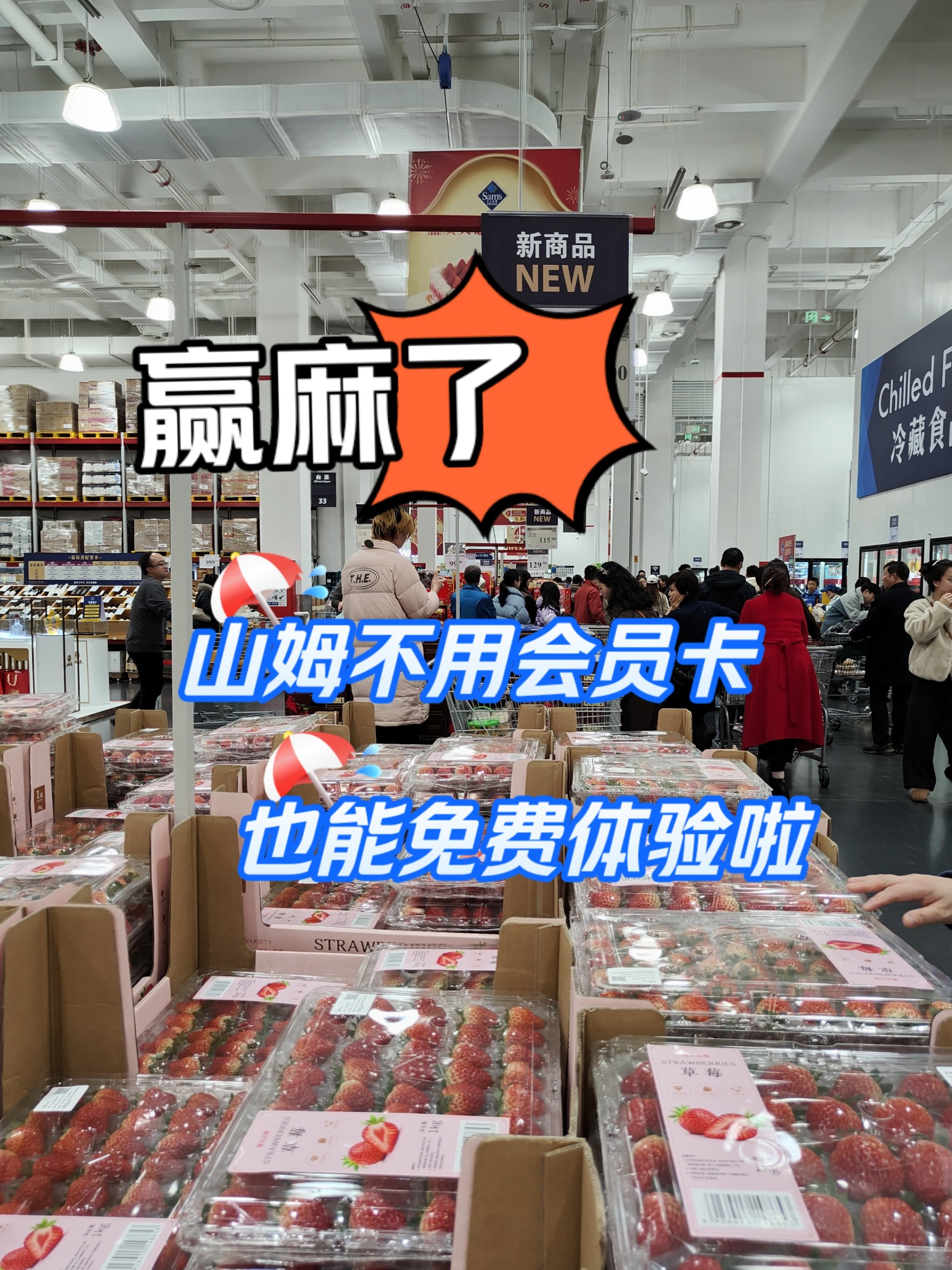 一卡至四卡，免费高清体验-第2张图片