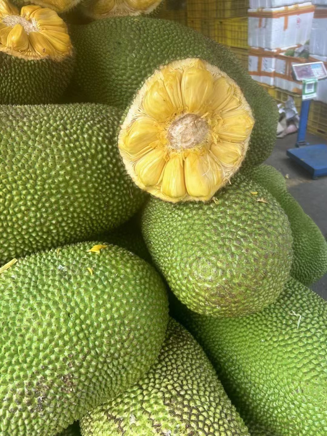 菠萝菠萝蜜高清视频免费6菠萝菠萝蜜高清视频免费分享-第1张图片