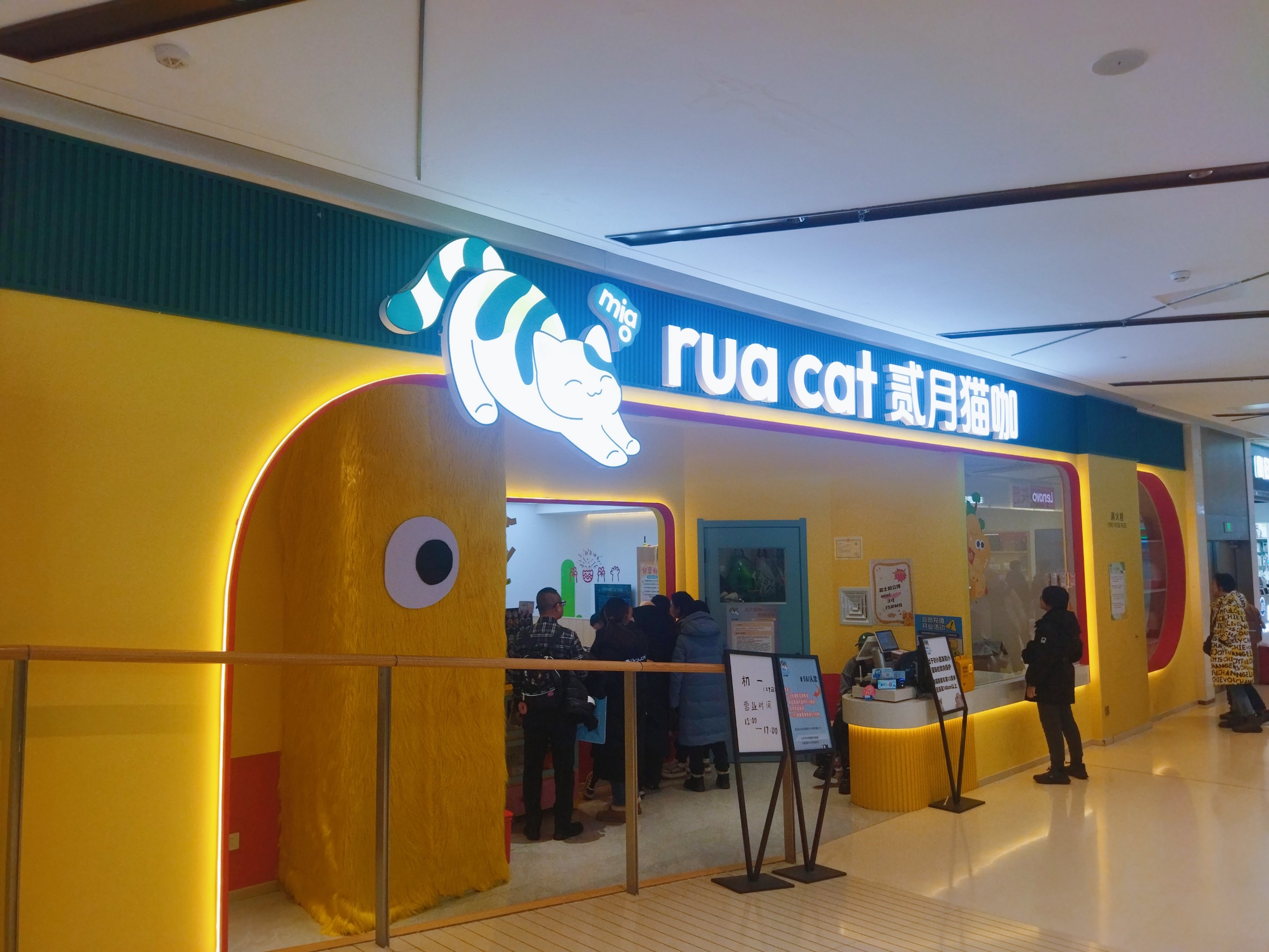 猫咪社区官方在线入口——探索与体验的乐园-第1张图片