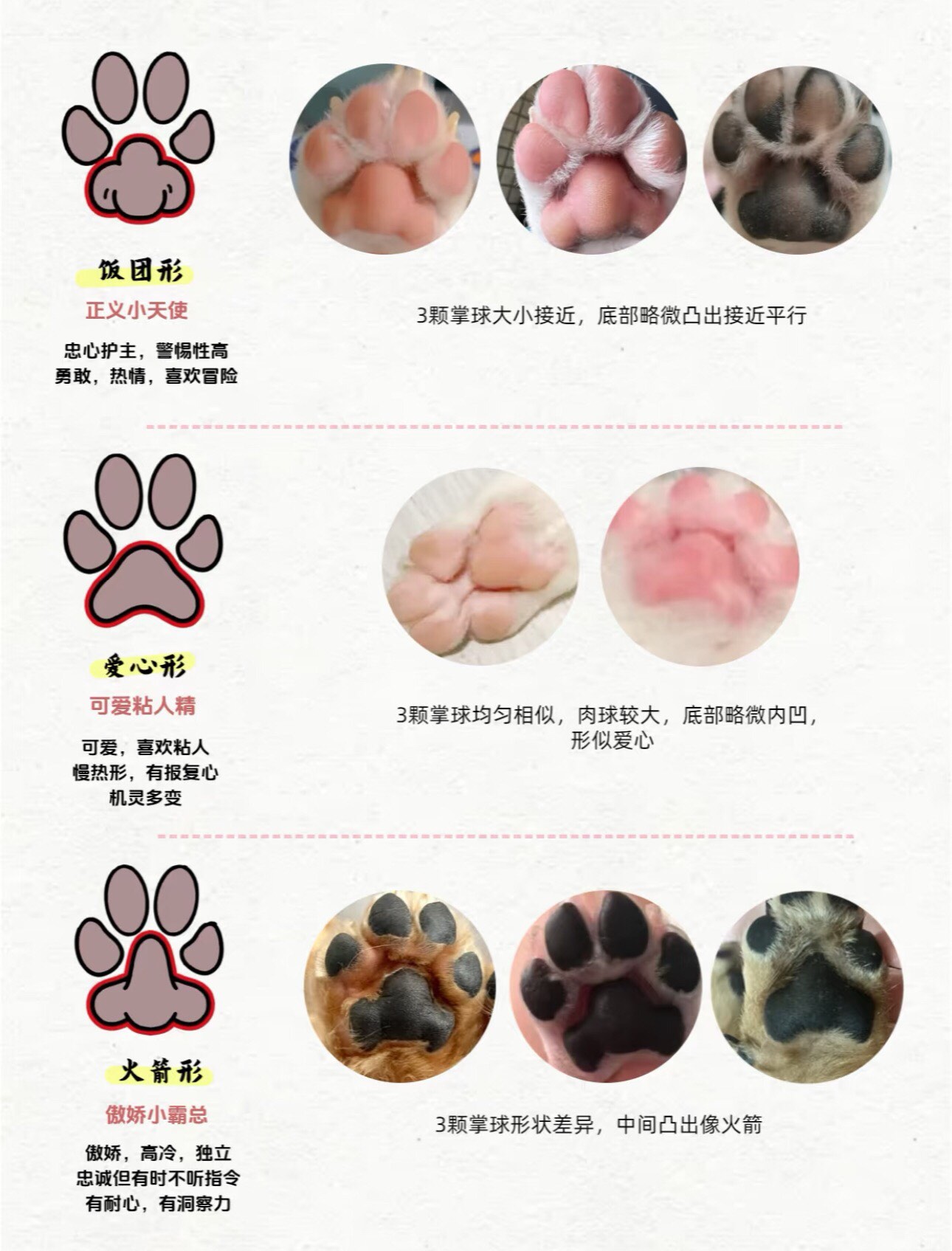 狗头上单天赋探索狗头上单天赋的奥秘-第1张图片