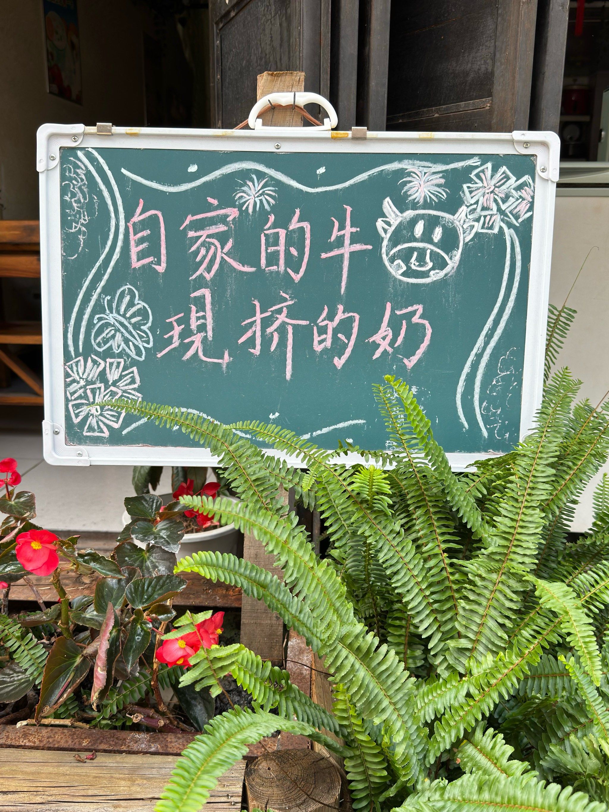 小学生如何安全有效地挤出牛奶-第3张图片