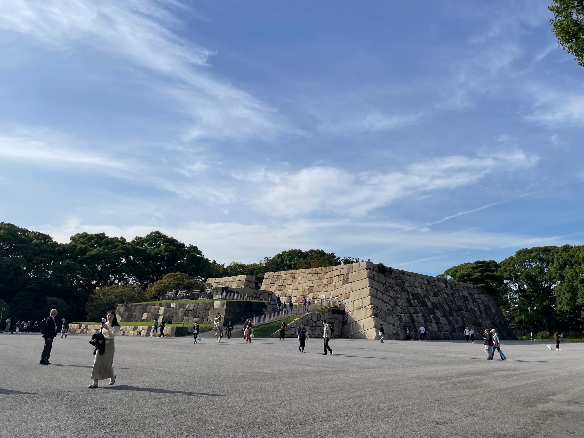 Tokyo247，探索东京的无限魅力