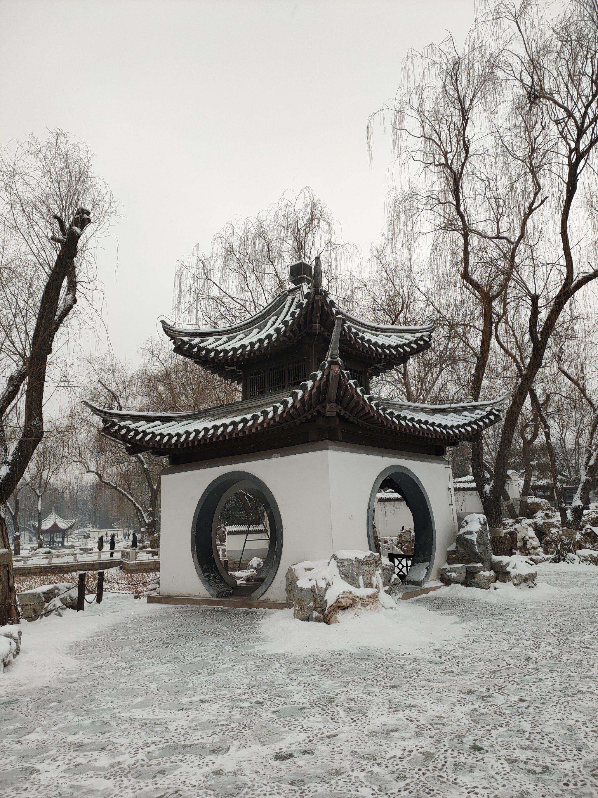 踏雪无痕踏雪无痕，冬日里的足迹与感悟