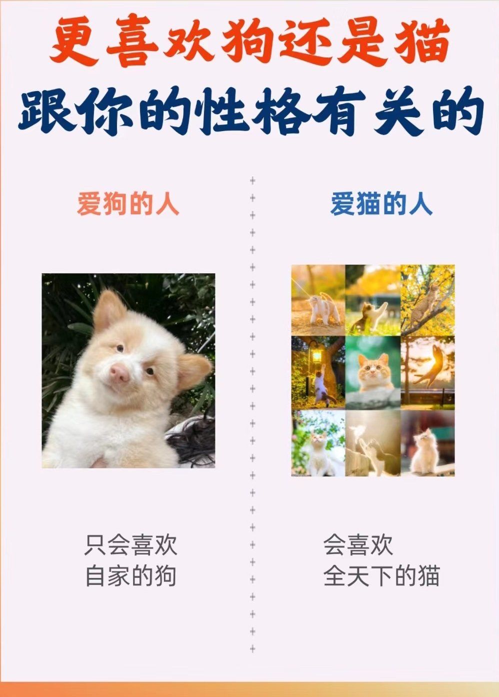 人与狗xzAV人与狗的深厚情感