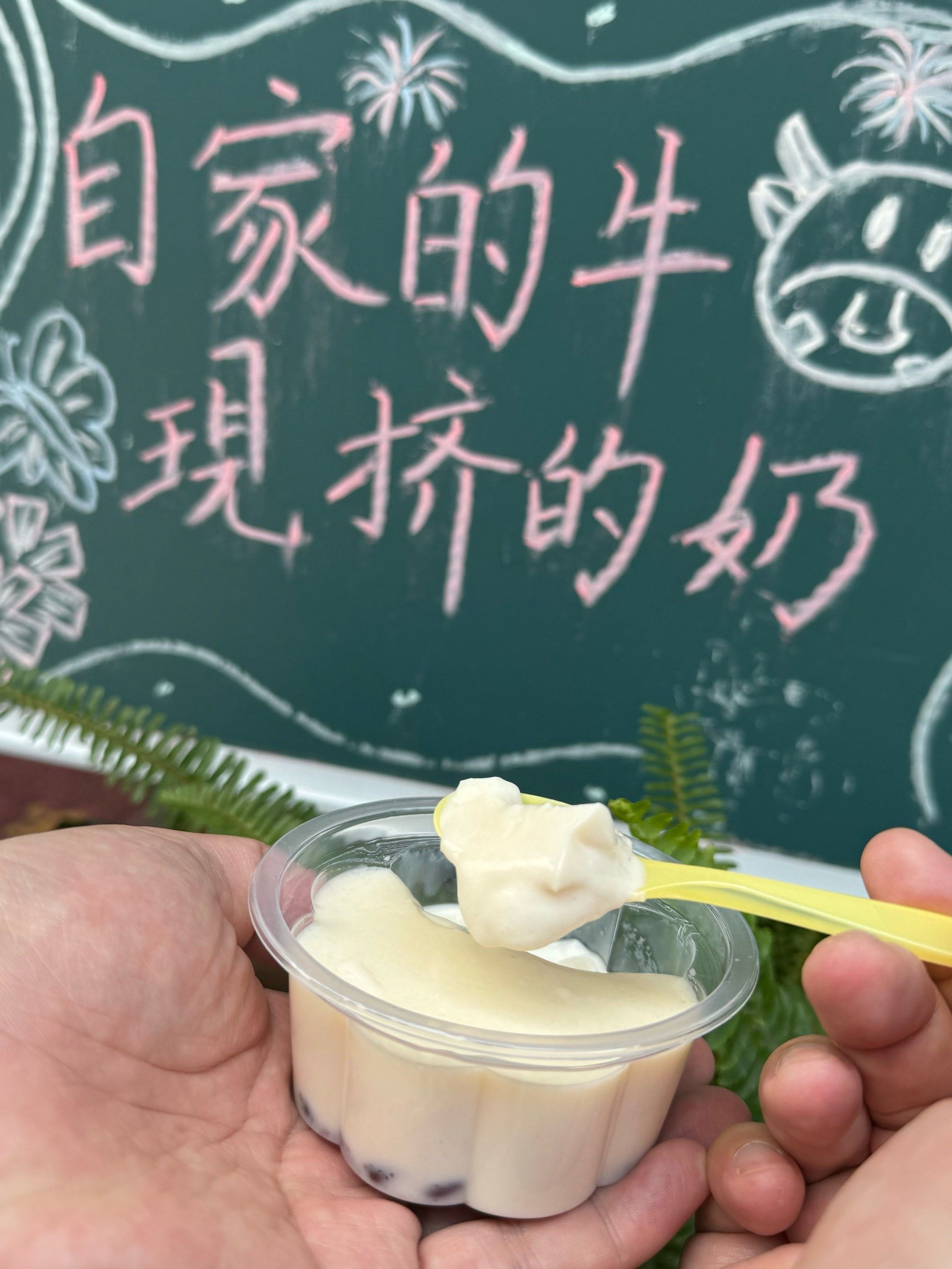 小学生如何安全有效地挤出牛奶