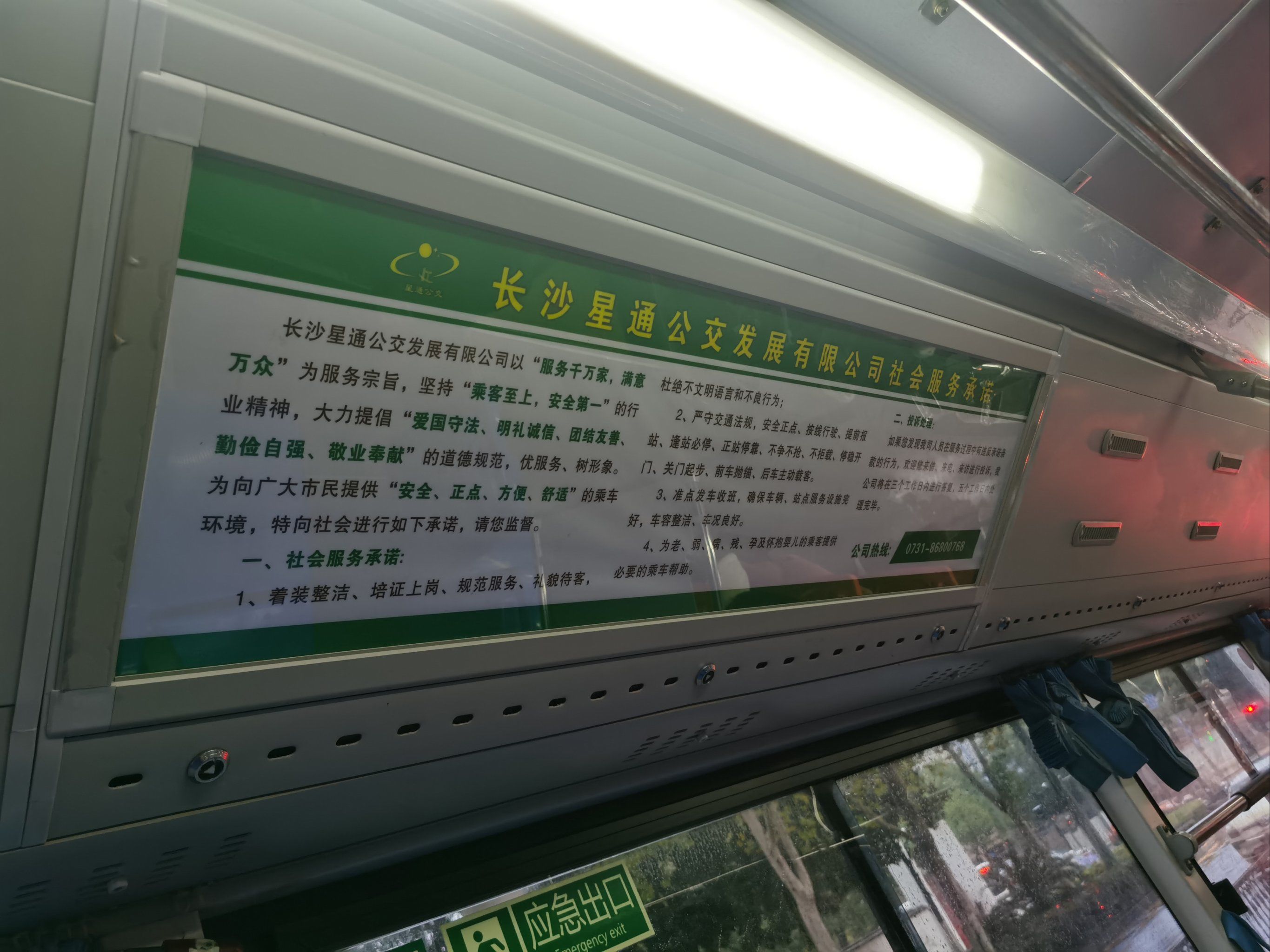 在公交车最后一排被多人公交车最后一排的独特经历-第1张图片