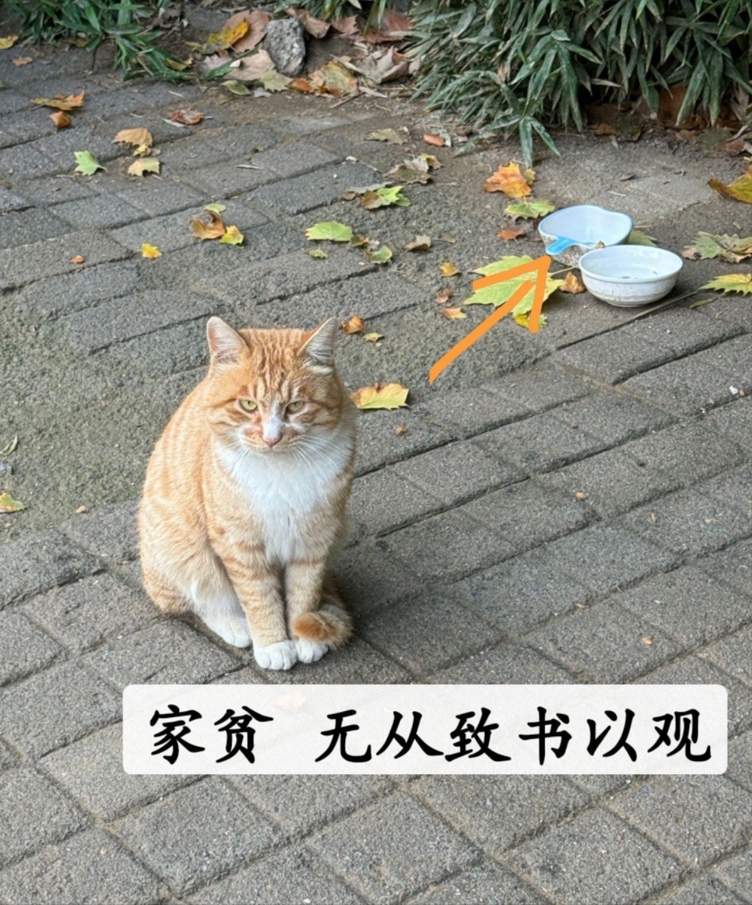 坐在学长上写作业坐在学长上写作业的体验与收获-第3张图片