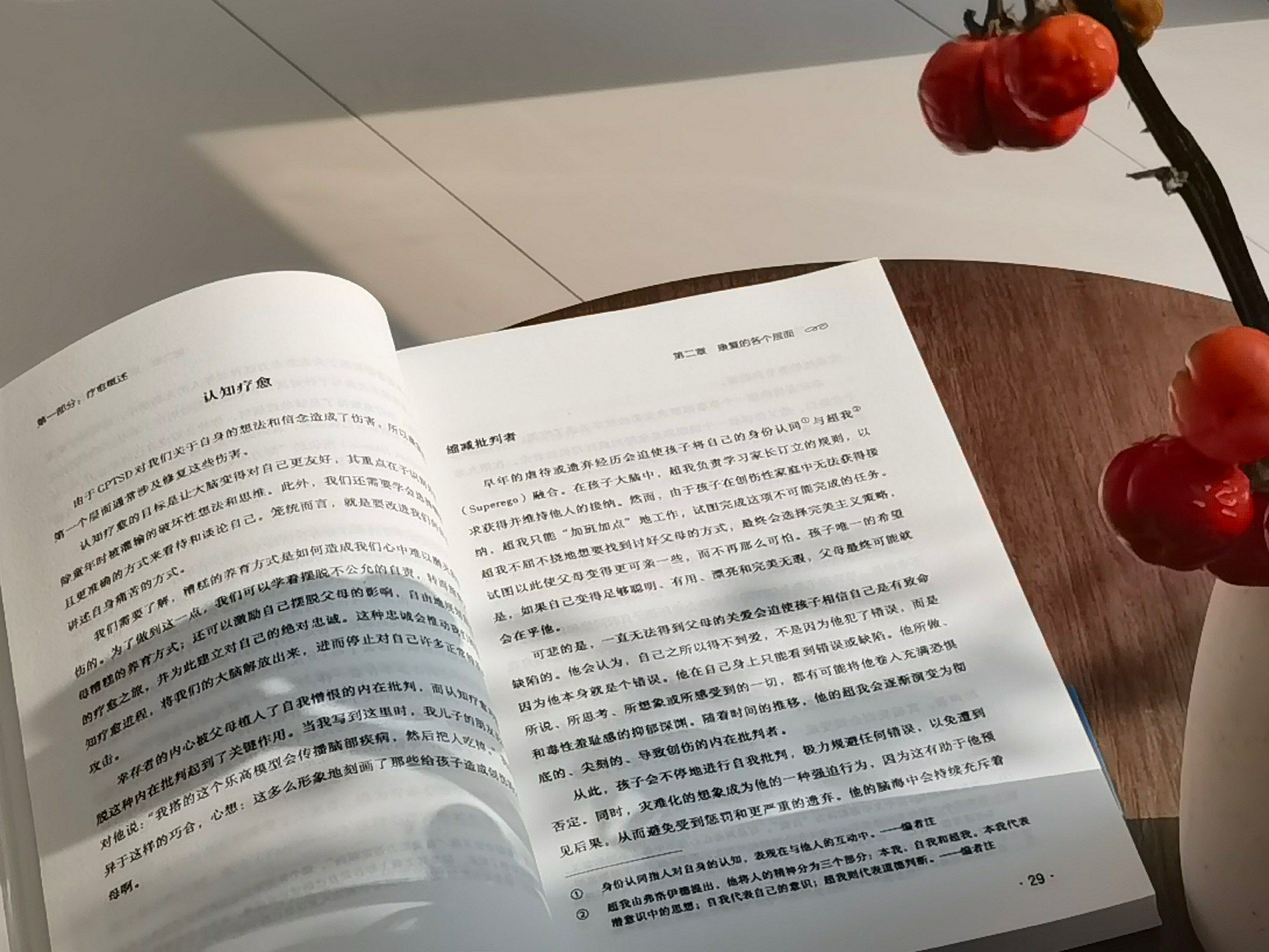 能给儿子解决生理吗问医生为儿子寻求心灵指引，心理咨询的探索与帮助